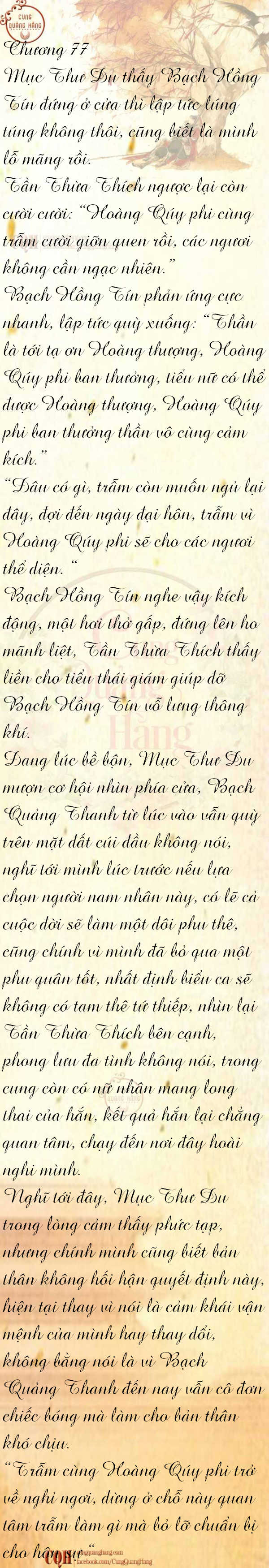 cam-tu-dinh-77-0