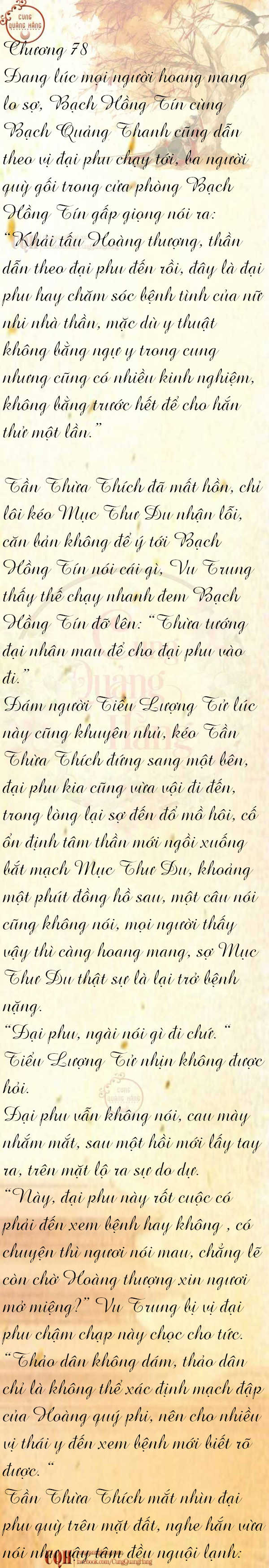 cam-tu-dinh-78-0