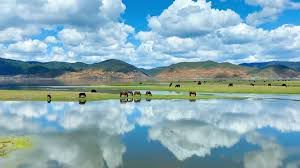 - Hồ Napa[2]: Hồ Napa - Na Pháp Hải thuộc khu bảo tồn Na Pháp Hải - Shangrila được thành lập vào năm 1984 với ý nghĩa bảo tồn đa dạng hệ sinh thái từ hồ nước tới đồng cỏ, đầm lầy, 