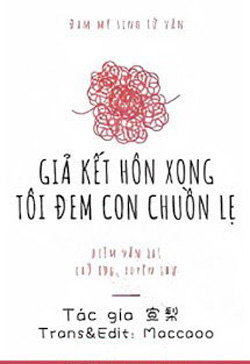 Giả Kết Hôn Xong Tôi Đem Con Chuồn Lẹ đọc online