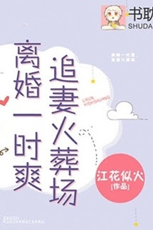 Ly Hôn Nhất Thời Sảng, Truy Thê Hỏa Táng Tràng