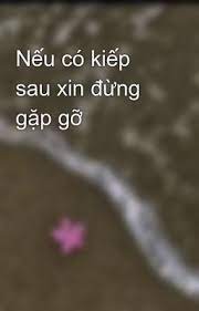 Nếu Có Kiếp Sau, Xin Đừng Gặp Gỡ!