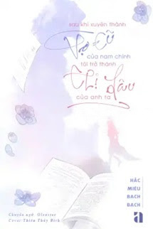 Sau Khi Xuyên Thành Vợ Cũ Của Nam Chính, Tôi Trở Thành Chị Dâu Của Anh Ta