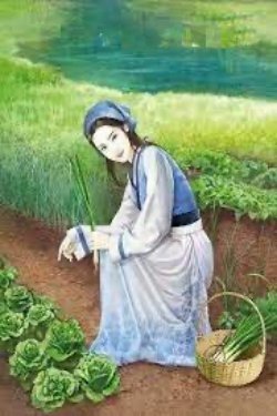 Thập Niên 70 Làm Ruộng Nuôi Con